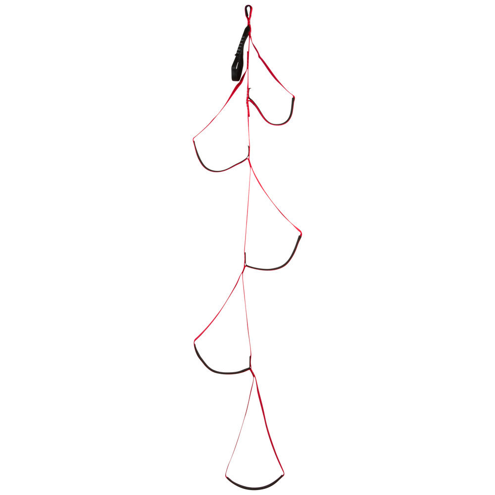 Black Diamond Alpine Aider